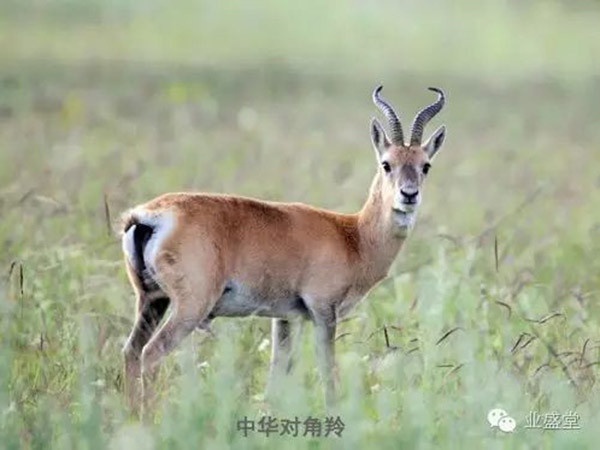 攝影家葛玉修老師做客業盛堂